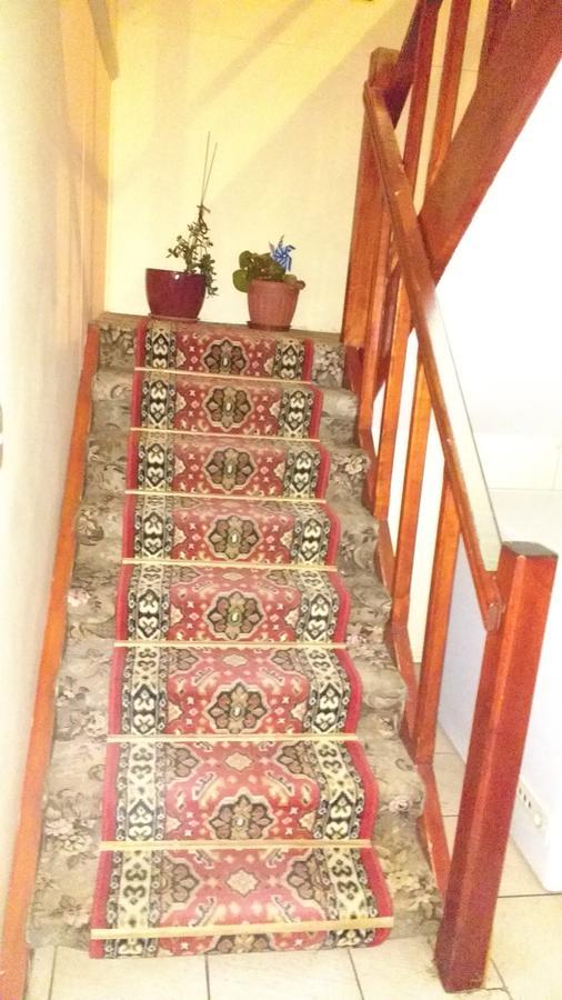 Hostal El Toque De Pilar Punta Arenas Bagian luar foto